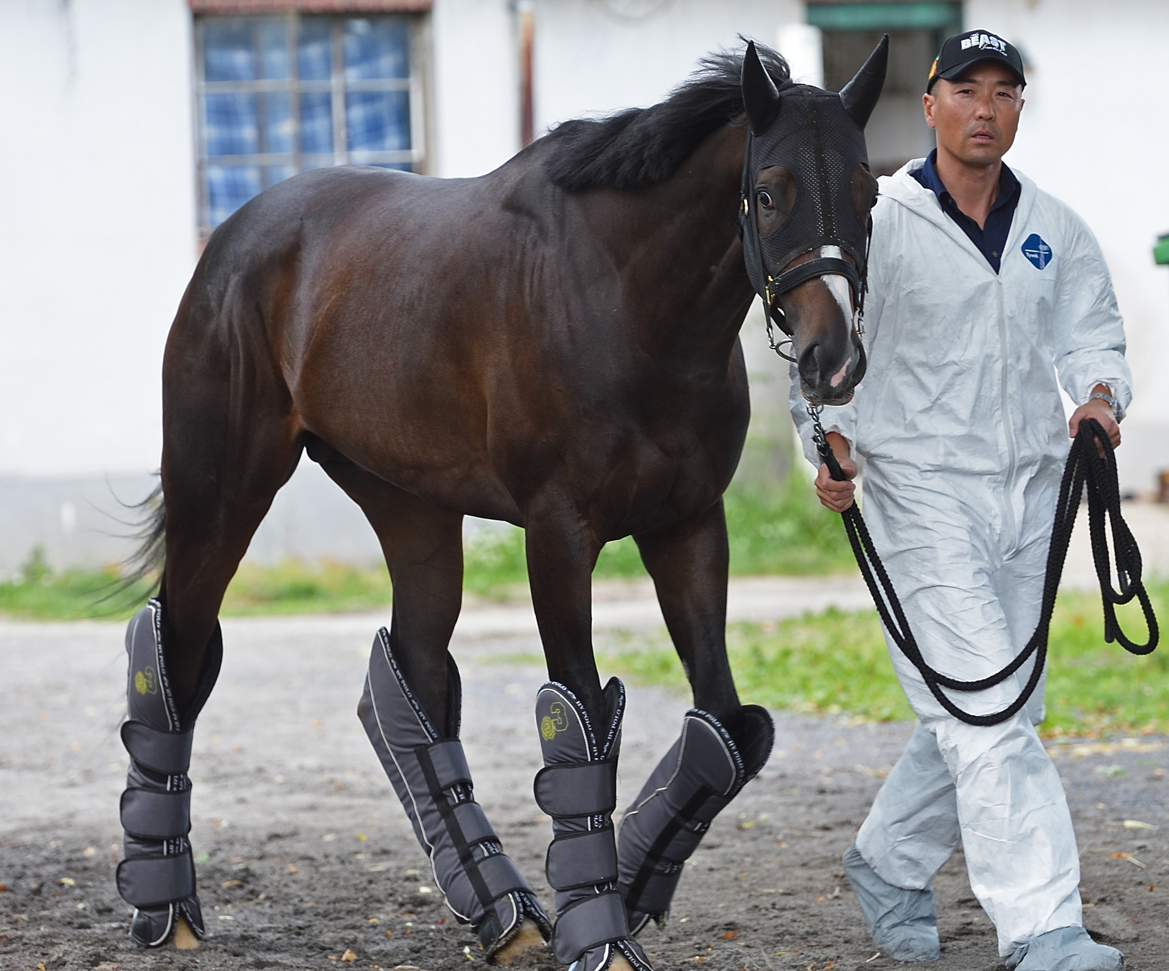 Japan's Epicharis scratched from G1 Belmont Stakes Belmont Stakes
